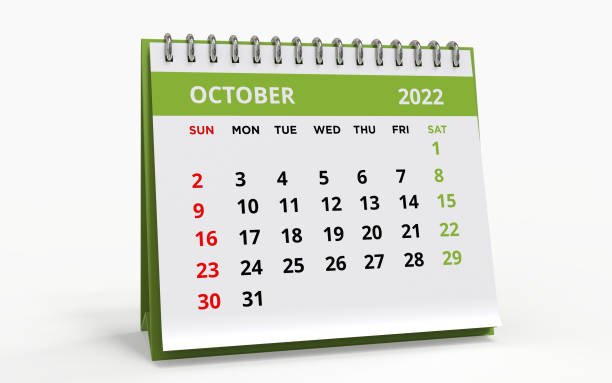 Rotary Designated Month – October 2022